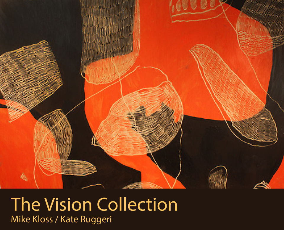 the vision collection