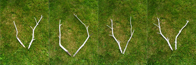 Susan Coolen, The ANTLERS Project, found sticks [in situ documentation], 2012