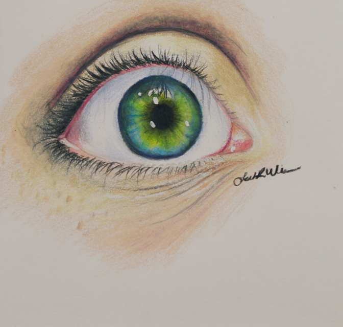 Leah Weis, Lockport Township H.S., colored pencil on paper