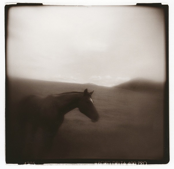 Jerry Cargill, Idaho 5, Chicago, Selenium-Toned Gelatin Silver Print,  2015 