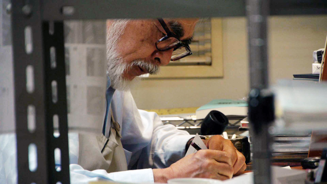 Hayao Miyazaki working on THE WIND RISES (© 2013 dwango)