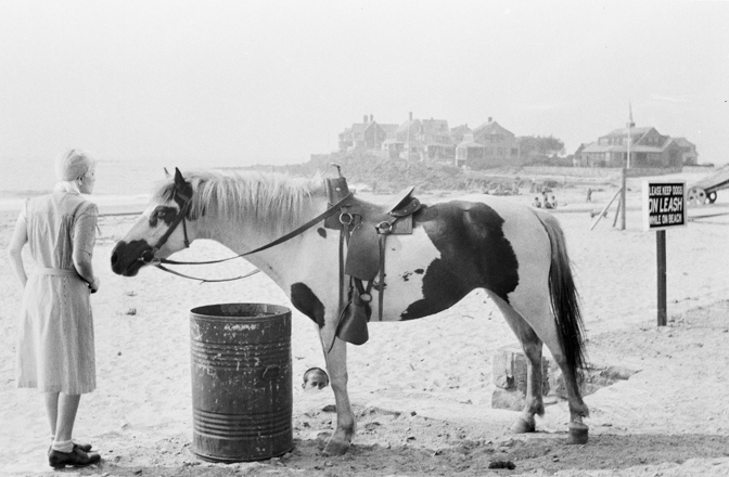 Jennifer Greenburg, It took a lot of courage for me to tell him he could not ride my horse, 2015