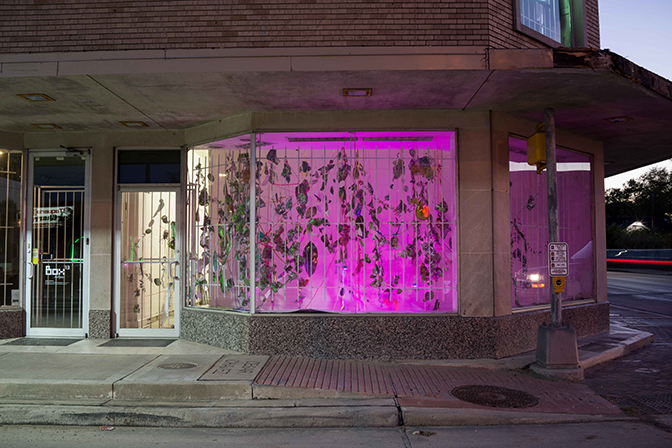 Aimée Beaubien Window box, Box13, Houston, TX Hothouse, 2015,  pigment prints, paracord, mason line, miniature, clothespins, grow lights dimensions variable 
