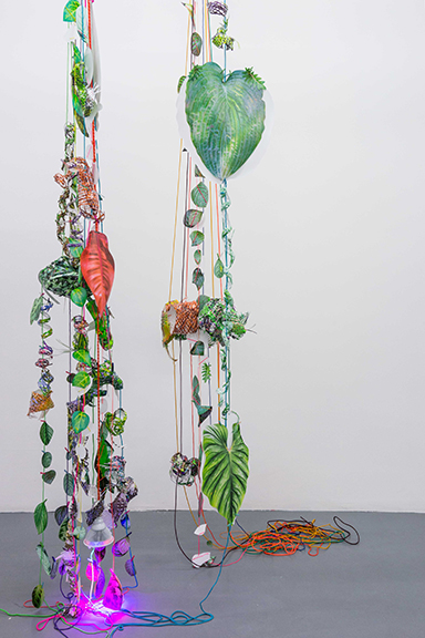 Aimée Beaubien Cutting Edges: Beaubien & Liang The Pitch Project, Milwaukee, WI Hothouse, 2015-2016 pigment prints, paracord, mason line, miniature clothespins, grow lights dimensions variable