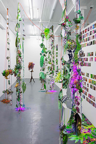 Aimée Beaubien Cutting Edges: Beaubien & Liang The Pitch Project, Milwaukee, WI Hothouse, 2015-2016 pigment prints, paracord, mason line, miniature clothespins, grow lights dimensions variable