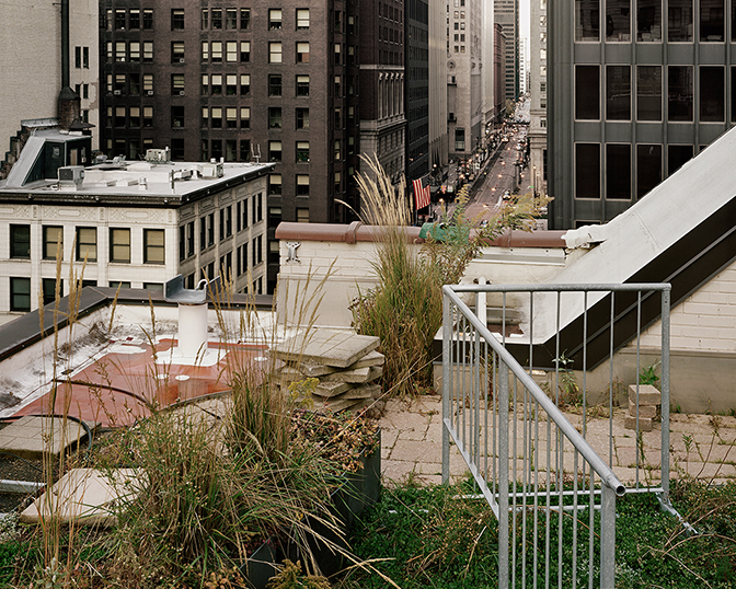 Brad Temkin, 10 West Jackson (looking West) - Chicago, IL  November 2011