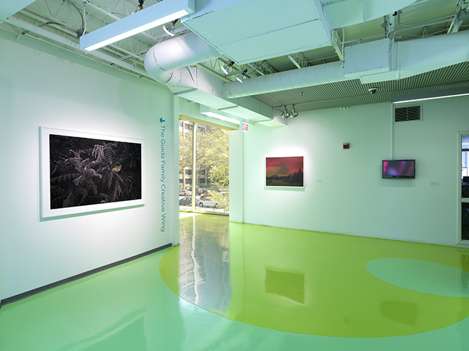 Alice Q. Hargrave, exhibition view of Paradise Wavering, Hyde Park Art Center, Chicago, IL 2016