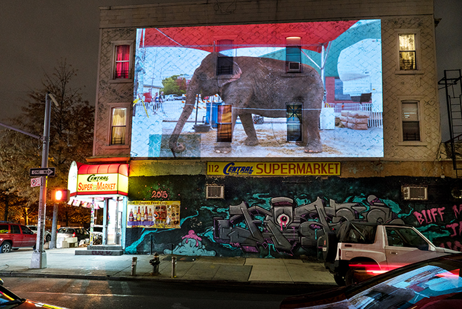 Colleen Plumb, Cindy (Peru, Indiana) at Central Supermarket, Bushwick, Brooklyn, New York City, 2016