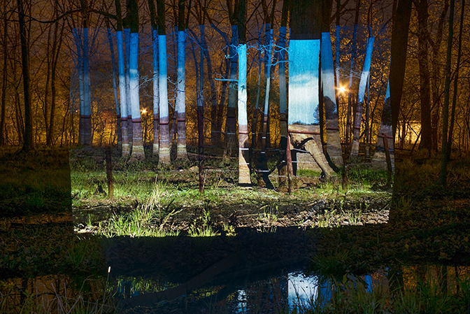 Colleen Plumb, (PAWS Sanctuary, San Andreas, California) and LaBagh Woods, Chicago, Illinois, 2016