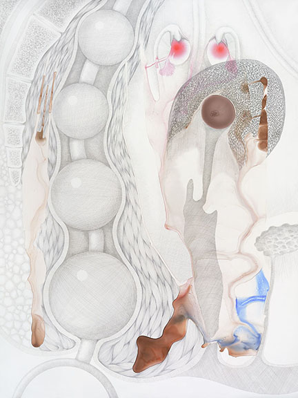 Vesna Jovanovic, Anal Beads, Ink and Graphite on Polypropylene, 80" x 60", 2016
