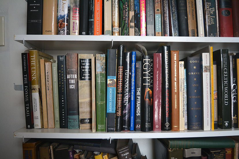 Jno Cook's library, Ravenswood, Chicago, 2019